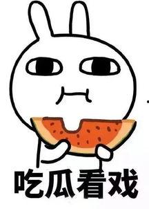 娱乐吃瓜酱啃宠,揭秘娱乐圈宠粉秘籍